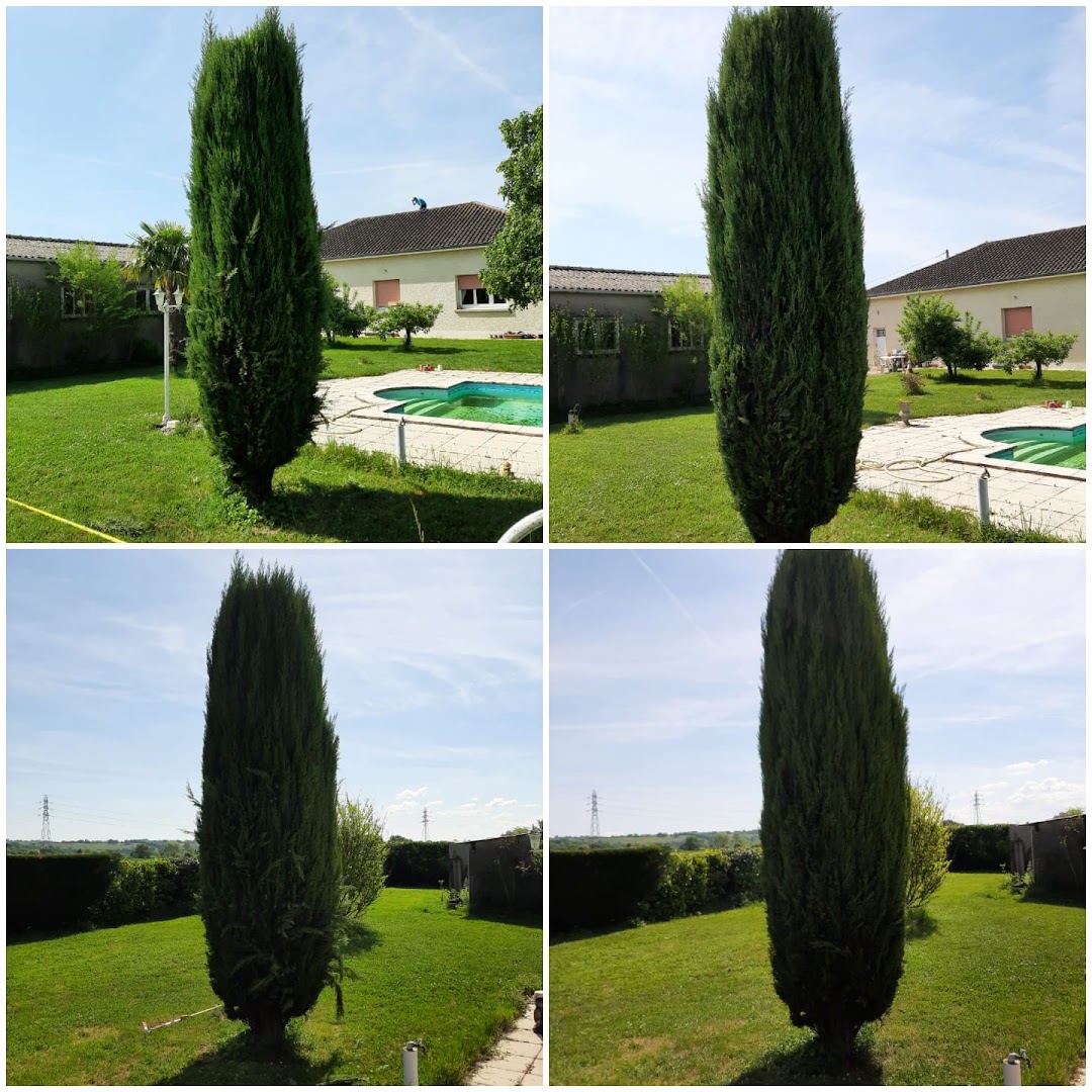 SHT.MULTISERVICES · Photos 7